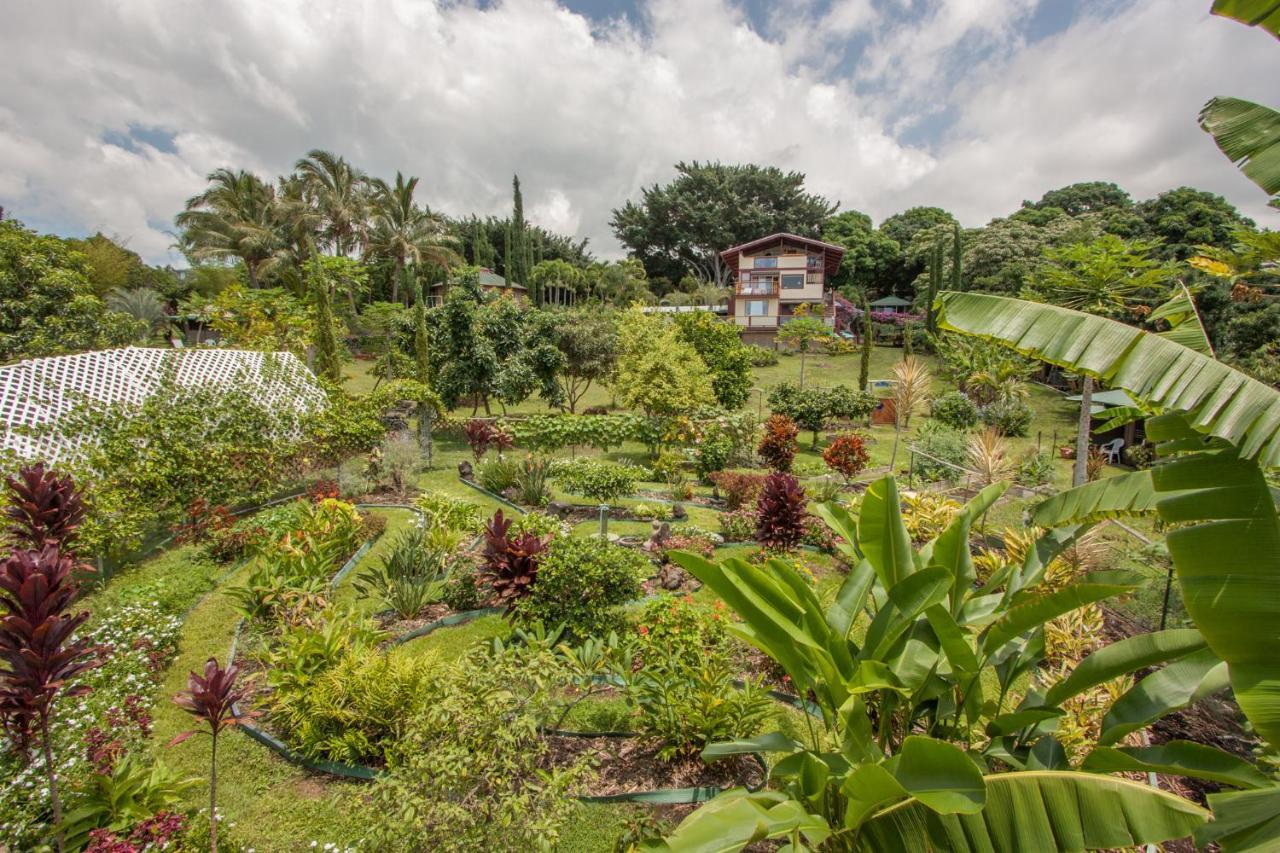 Banyan Tree Sanctuary Guest House Kalaoa Exterior photo